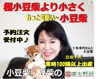 今日も日本晴れ この広告を見る度に悲しい気持ちになる 豆柴より小って 犬はおもちゃじゃない それに常時100頭以上出産なんて まるで工場だ T Co Lkxi1fhkor Twitter