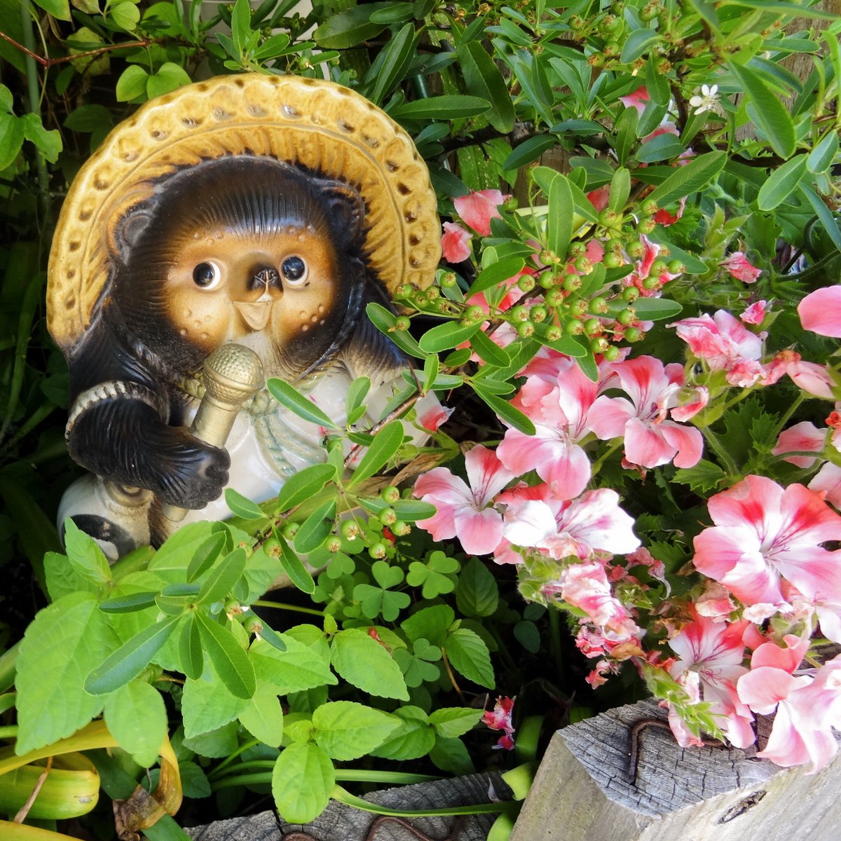 aeliscreation's tweet photo. Les #tanuki 😍 https://t.co/h6PgpJNuFM