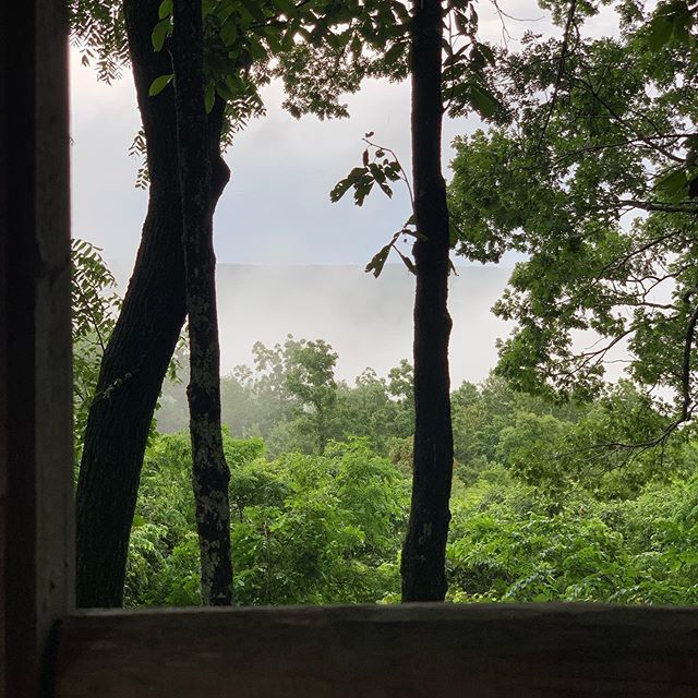Is this what Tarzan sees when he looks out his window? #fromtheheartmovie #treehouse