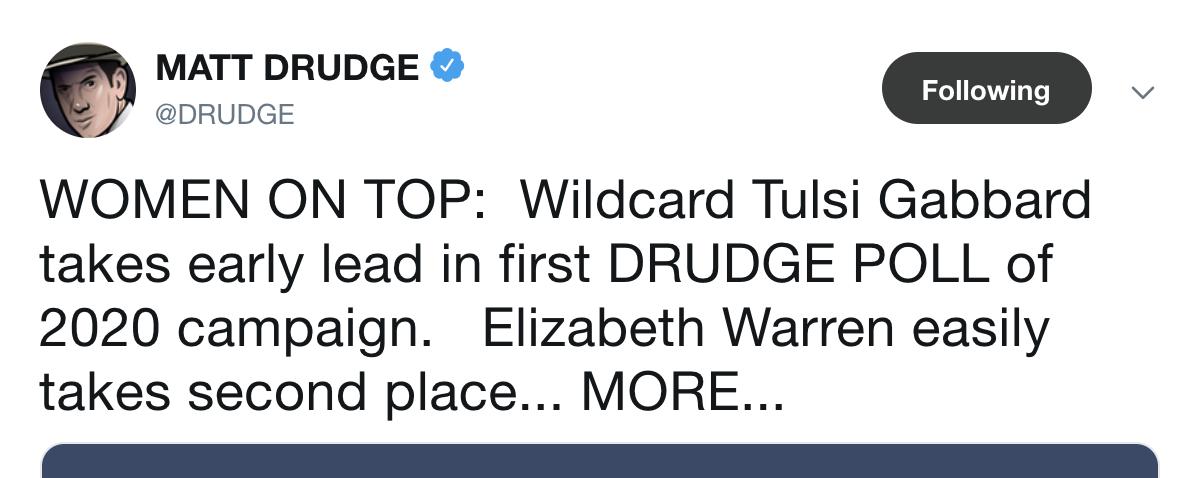Matt drudge is gay