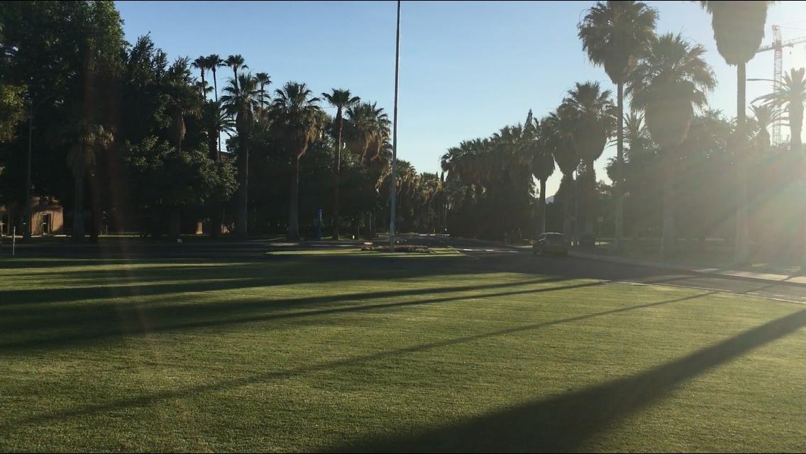 tedxtucson's tweet photo. From campus initiatives and involvement to the ever-growing amount of research that is put into the creation of a healthier environment, U of A is always working towards a green campus and a greener world.
#azsustainability #tedxtucson https://t.co/4nI3hHhqHc