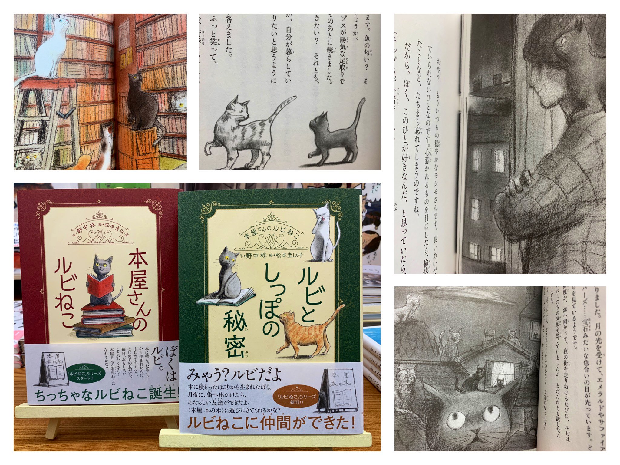 猫本専門 神保町にゃんこ堂 姉川書店 本の上に積もったホコリが床に落ちて集まって 小さなかたまりになって 子猫のルビに シリーズ第二弾 ルビとしっぽの秘密 月夜に街へ出掛けたら 新しい友達ができたよ 店主のモシモさんにも紹介しなくちゃ