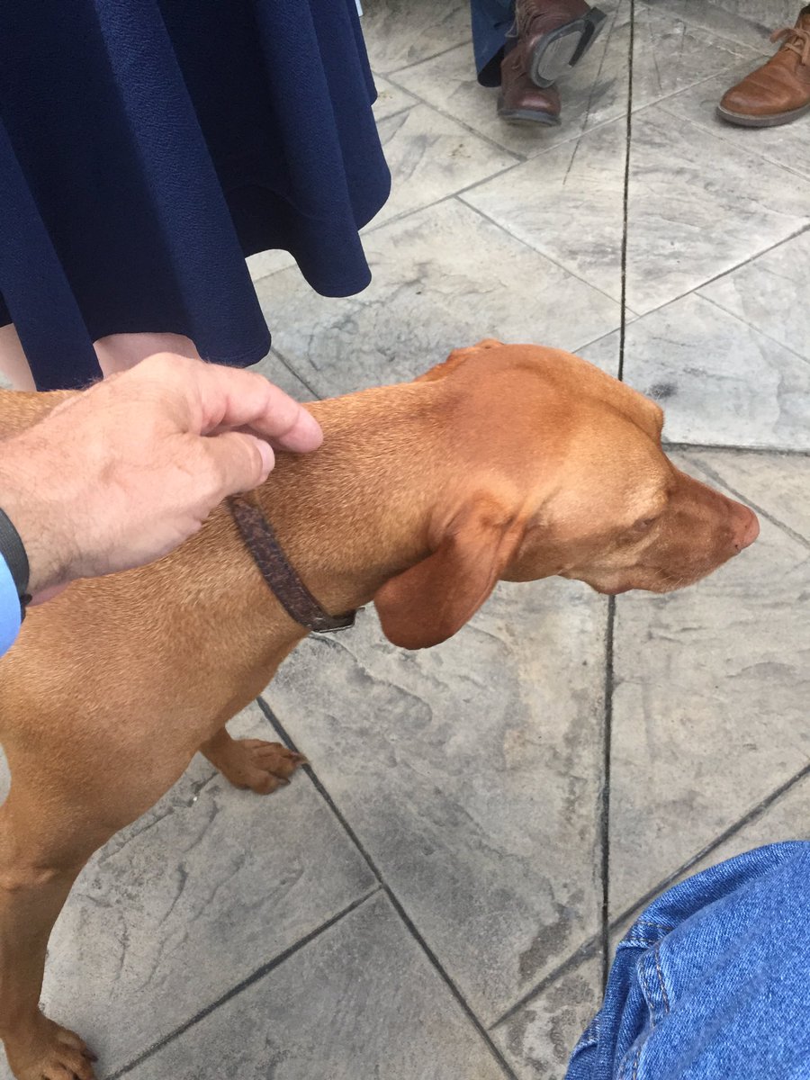 StanforVirginia's tweet photo. It was a great night of seeing some friends and making some new ones at the Hanover Men’s Forum to come together to move Virginia forward this November! #ButFirst2019 #StanForVirginia #DogsForStan https://t.co/6kaAe6CME5
