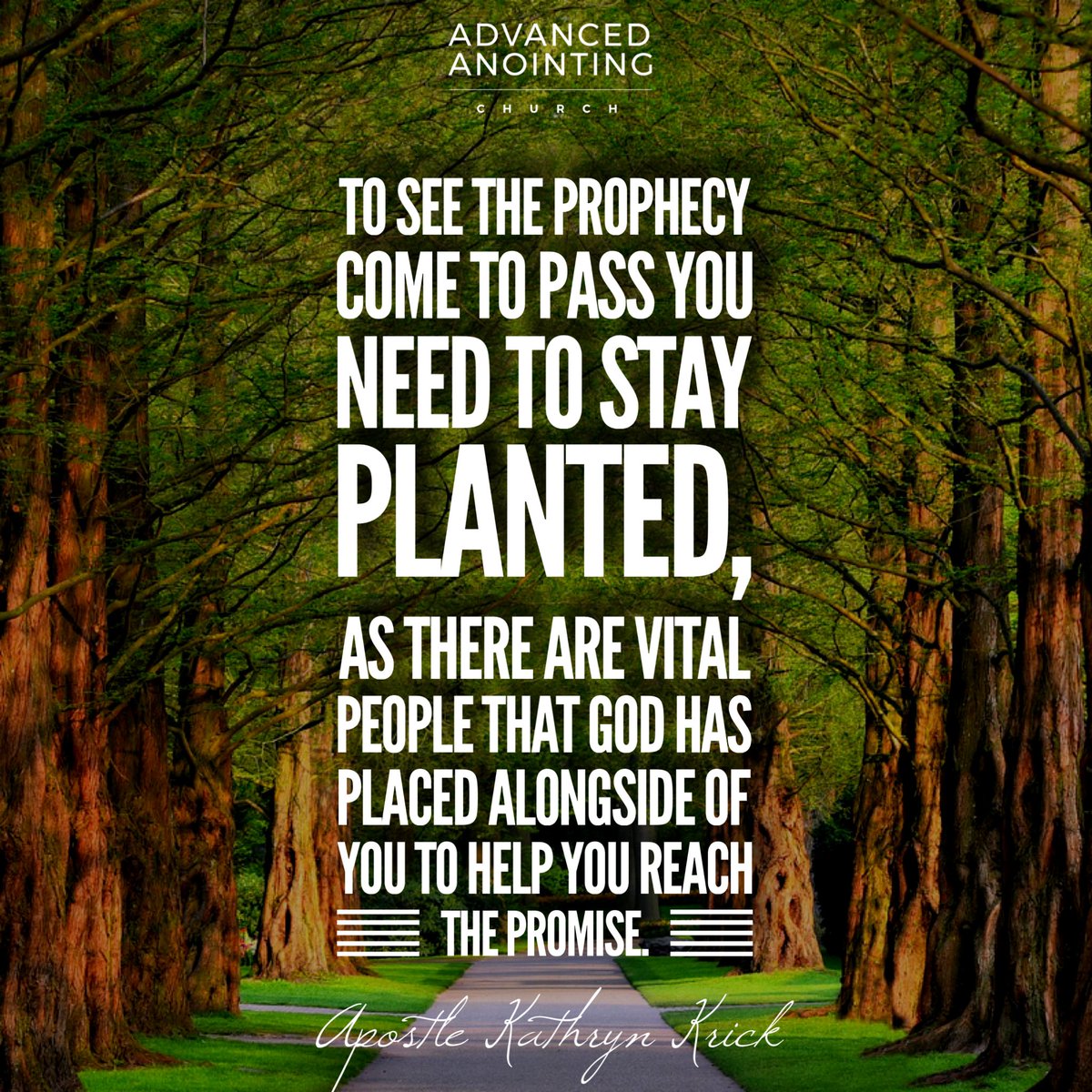 @advancedanointing 
#promise #promisedland #planted #stayplanted #vital #fruit #prosper #prophecyfulfilled #advancedanointing #revival #losangeleschurch #propheticministry #losangeles #empowerment #dailyempowerment #dailyquotes