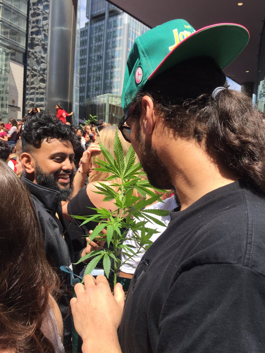 Only in Toronto 😃😄🚬🏀...#Toronto #weed #raptors #parade
