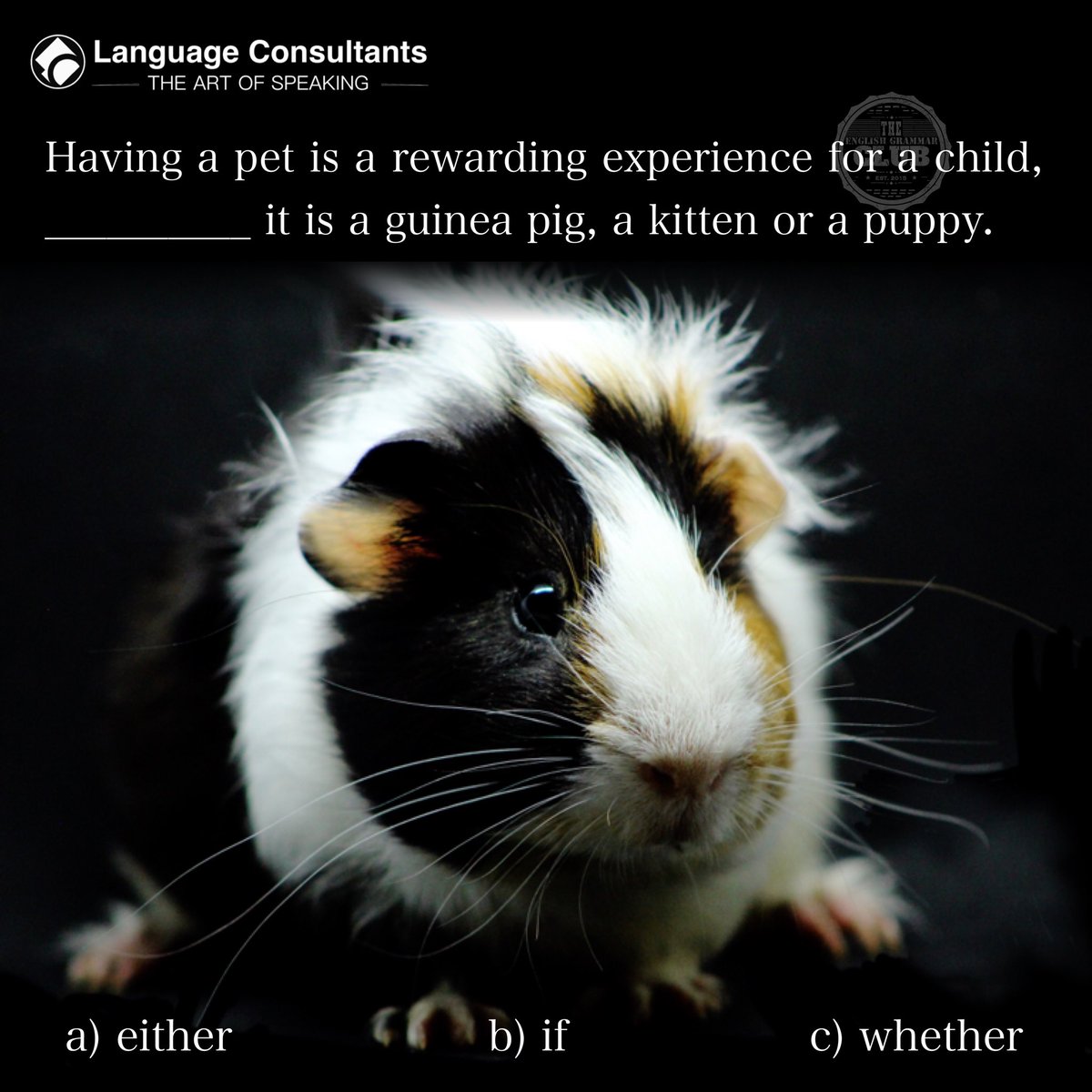 grammar_club's tweet photo. Enjoy #TheArtOfSpeaking in #English in #TheEnglishGrammarClub by #LanguageConsultants #SpreadTheEnglish #Repost #guineapigs https://t.co/MaakIZbfRr