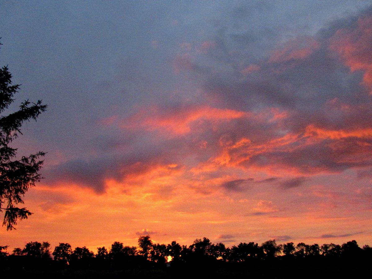 J. Thomas Ross (@jthomasross) on Twitter photo 