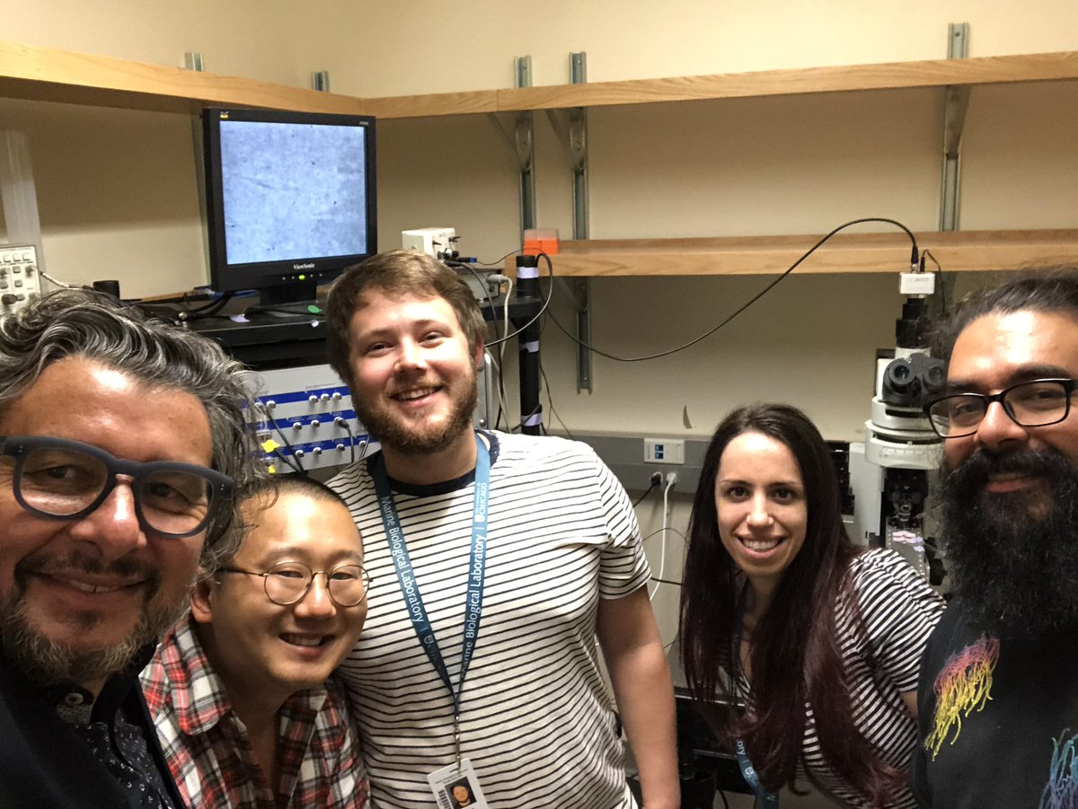 AranedaLab (@aranedalab) on Twitter photo Still going strong...early Thursday morning...<a href="/MblNeuro/">Neurobiology Course</a> <a href="/MBLScience/">Marine Biological Laboratory (MBL)</a> @Irene_Pallucchi @rui_hu Still going strong...early Thursday morning...<a href="/MblNeuro/">Neurobiology Course</a> <a href="/MBLScience/">Marine Biological Laboratory (MBL)</a> @Irene_Pallucchi @rui_hu