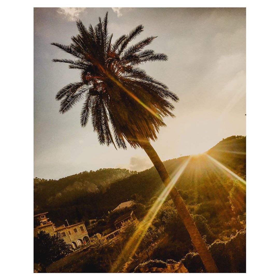 COMPOSERMANU's tweet photo. É bom sentir-se orgulhoso de si mesmo, aplaudo o meu esforço e a melhoria das minhas fotos 😎📷 #DiaInternacionalDoSol https://t.co/6XMYjx88Ja