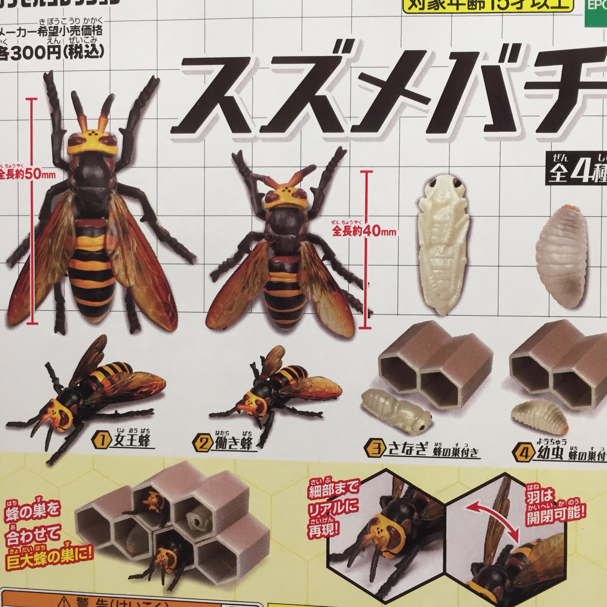 Twitter এ ドリームカプセル イオンモールkyoto 虫 動物 系 スズメバチ 芋虫図鑑ミニフィギュア 虫かごカプセル入 金魚 立体図鑑フィギュア テディベアギフト スズメバチ 芋虫 金魚 リアル T Co Xpwu9wxo75 ট ইট র