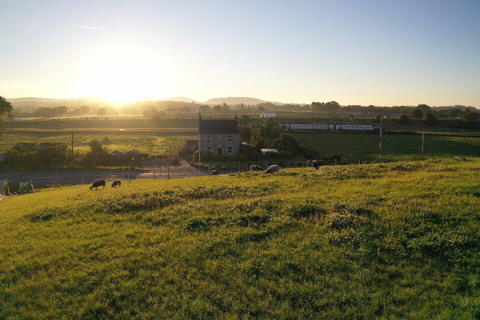 H2PhotographyUK's tweet photo. Been out shooting sheep on a roof this morning!!! @BartonGrange_GC @FlowerbowlInfo https://t.co/BYE1PNz8lC