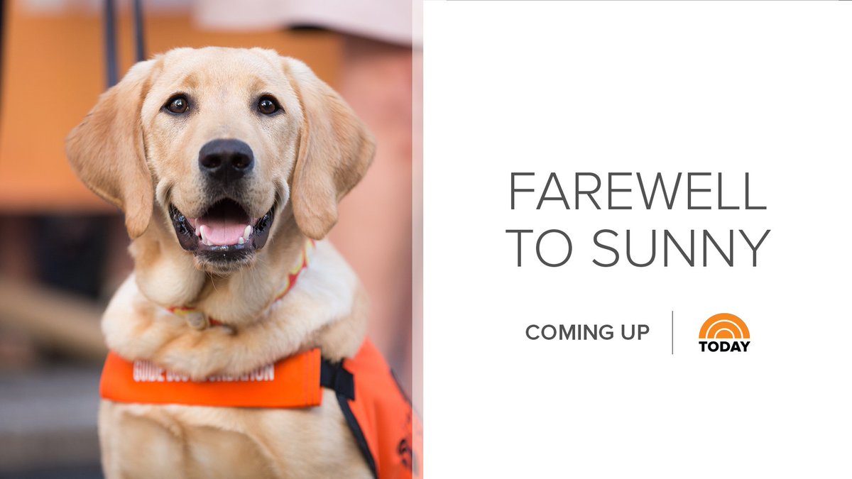 Also on TODAY: We're celebrating our <a href="/TODAYPuppy/">TODAY Puppy</a> with a purpose on his final morning with us in Studio 1A 🐾