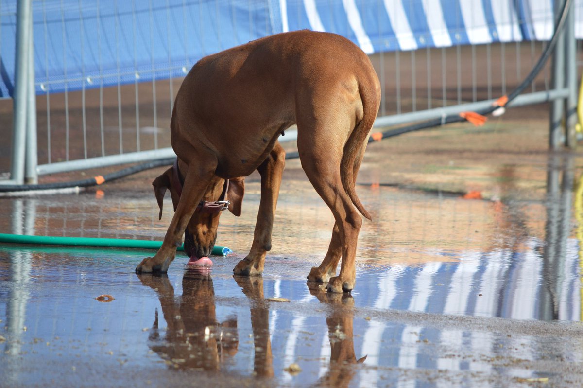Jumping Monaco tweet media