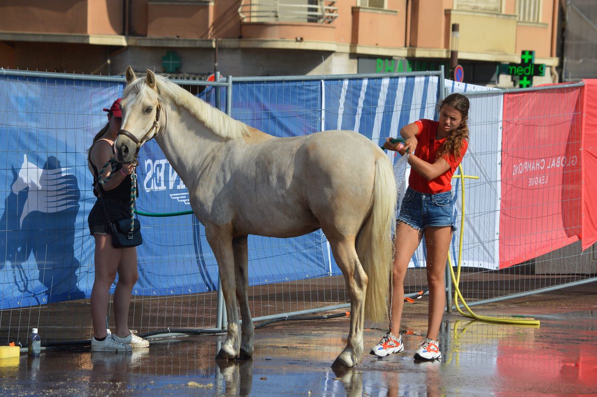 Vous vous inquiétez pour les chevaux compte tenu de la chaleur ? ☀️
Sachez que nous tous, organisateurs, cavaliers, grooms, mettons tout en oeuvre pour offrir les meilleures conditions à ces athlètes dont le bien-être est notre priorité ! 🐴