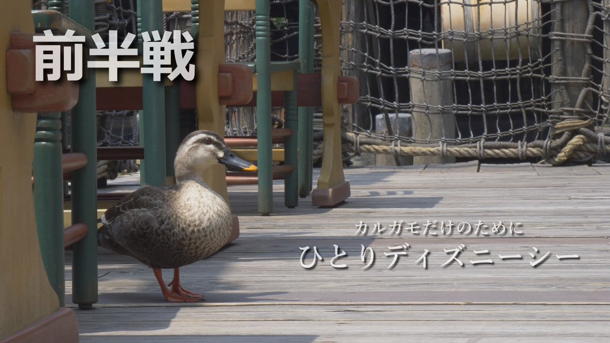 スカイツリーシャトル スカイツリーシャトル