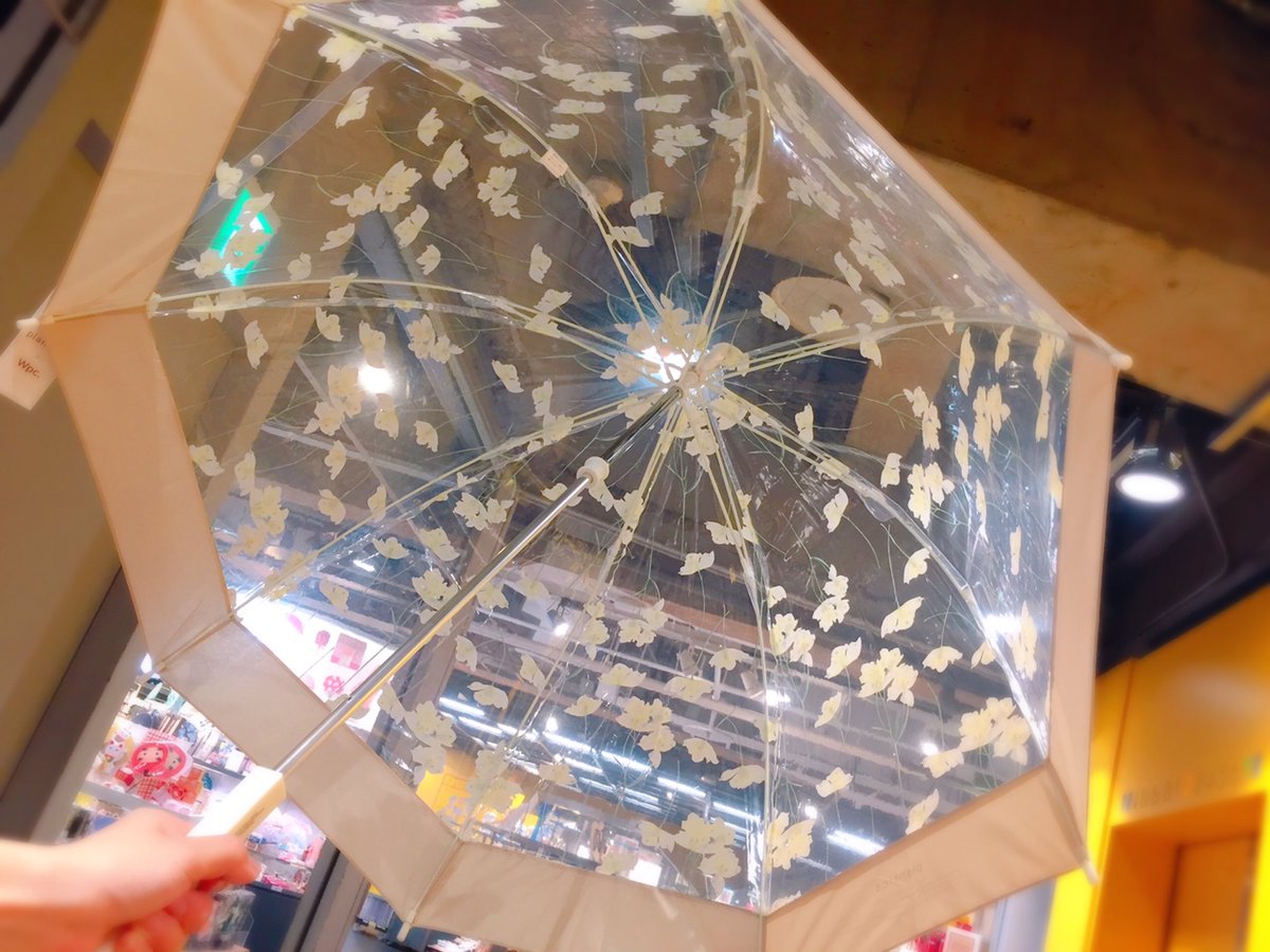 渋谷ロフト בטוויטר 丸みがかわいい Plantica Wpc 雨が降ってきましたね フラワーアート ユニット プランティカ と Wpc のコラボレーションの ビニール傘 のご紹介 丸みのあるふんわりとした ドーム型の傘で 散りばめられた花柄が特徴的