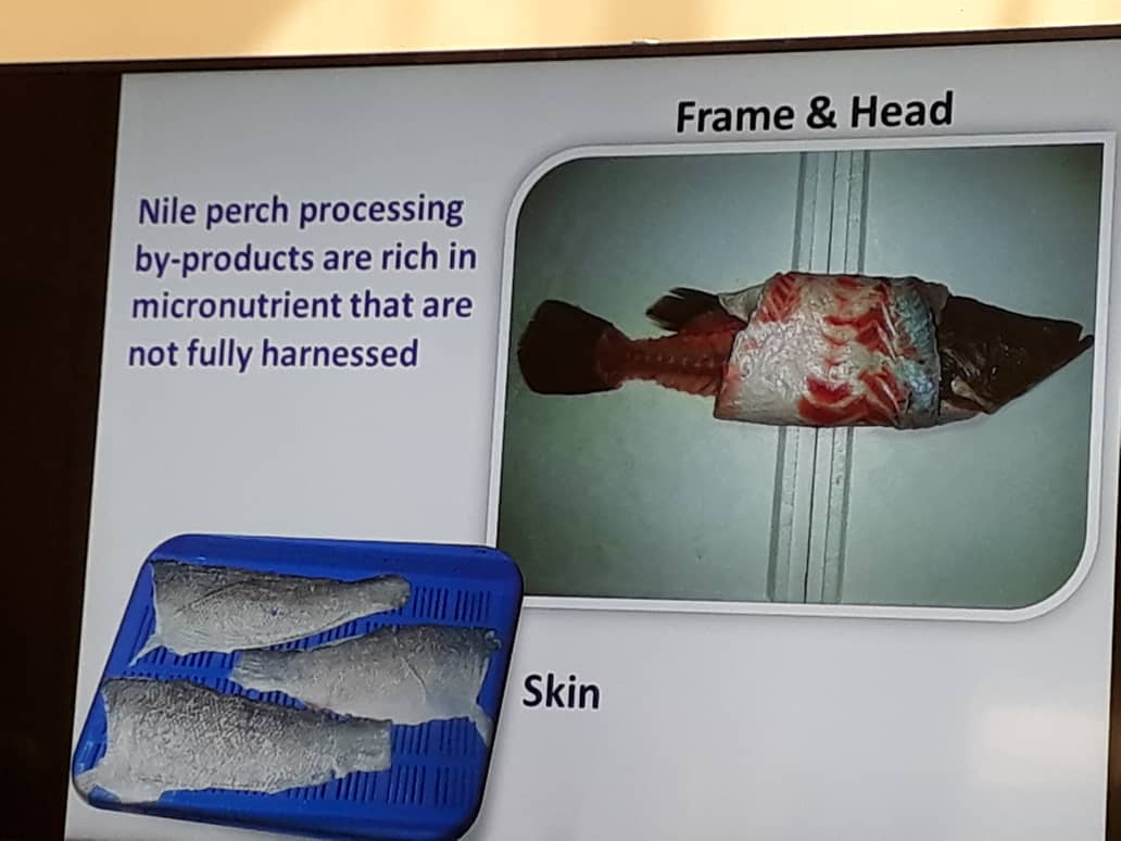 It's amazing that in this innovative #CultiAF project, the fish byproducts of processing such as the frame, head and skin which are usually wasted are put to productive use. <a href="/afs_asa/">CRFS | SARC (Formerly AFS | ASA)</a> <a href="/IDRC_CRDI/">IDRC | CRDI</a> @MakerereU <a href="/nafirri/">NARO_NaFIRRI</a>