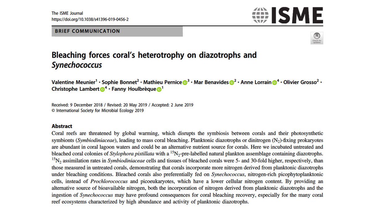 Today my first manuscript got accepted for publication in ISME Journal !  Soooo nice ! Thanks to the co-authors and my supervisors Fanny  Houlbrèque and Sophie Bonnet ! nature.com/articles/s4139… @ird_nc @MIOceanologie #coral #diazotrophy