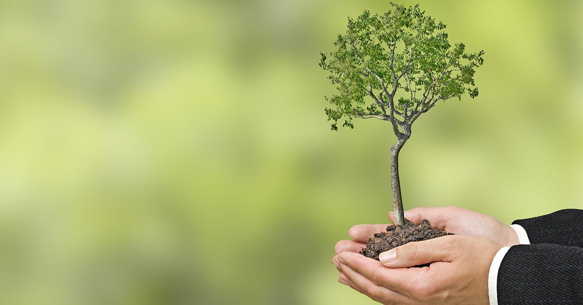 As a green single source provider, we help you save time and money whilst being respectful and sensitive to the environment.
#greenoffice #environmentallyfriendly