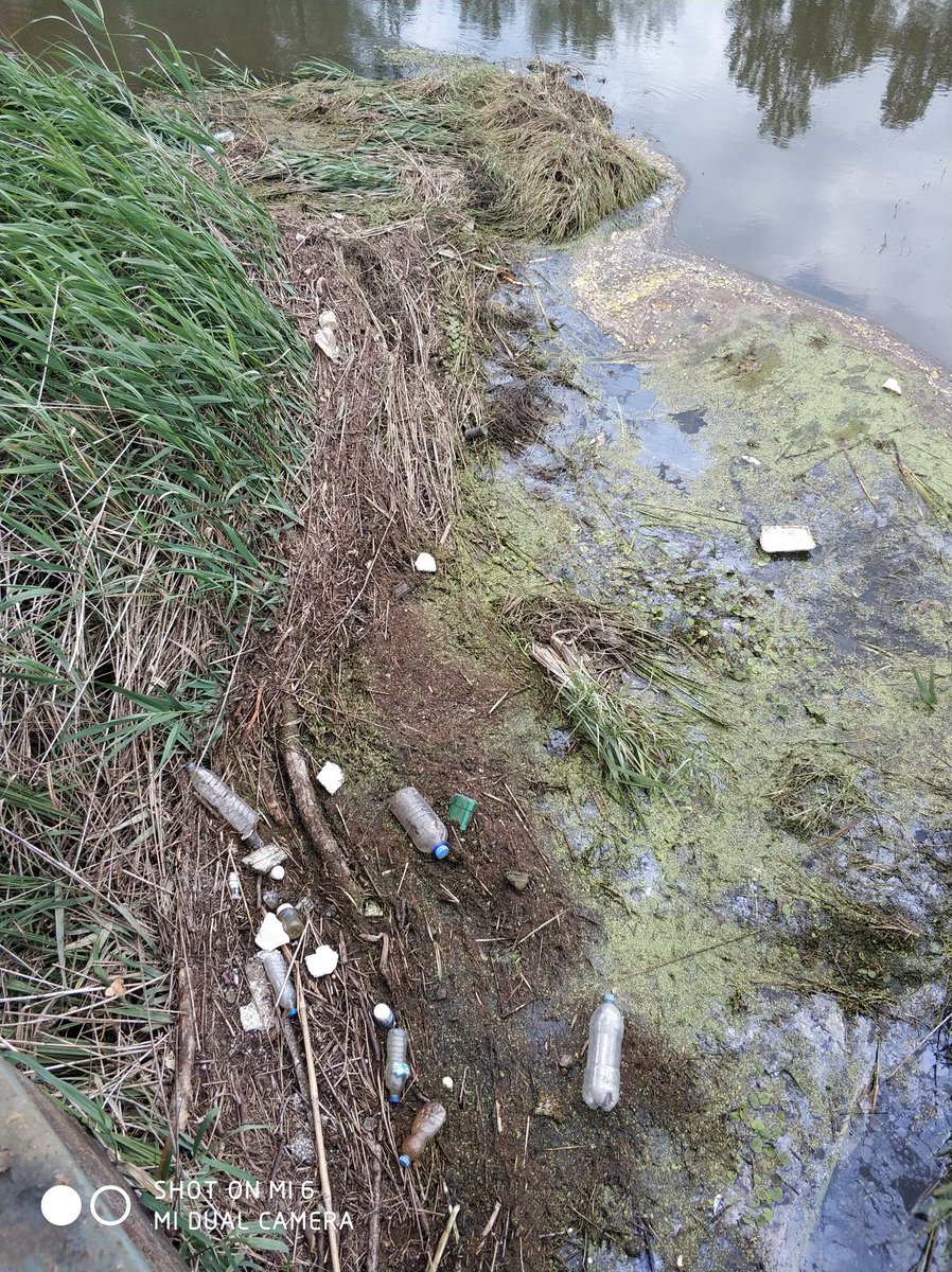 Terme yalı mahallesi sel afeti sonrası kanalizasyon ve atıklar ile karışmış durumda, temizlenmeyen ırmak suları içerisindeki hayvanların çoğu ölmüş kalanlarda can çekişiyor. Çevreye yayılan kötü kokulu atıklar civarda yaşayanlar için hastalık riski taşıyor. Acilen müdahale gerek.