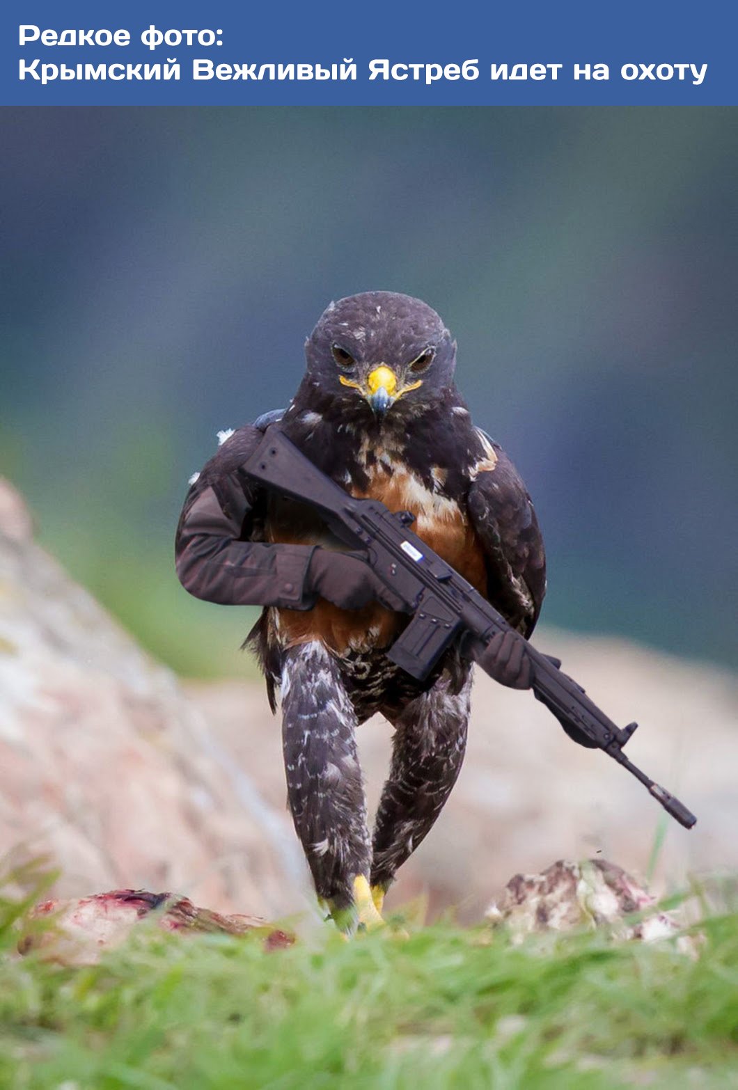 D-DCYD8W4AAsumU?format=jpg&name=large