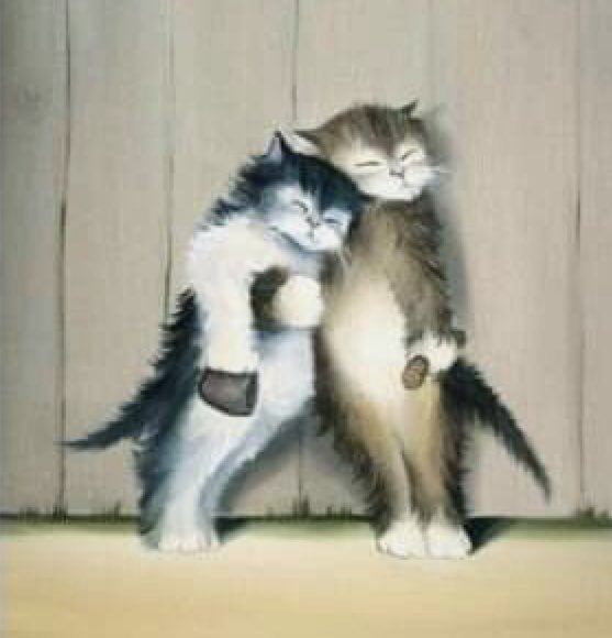 Günaydın dostlar ☕️🐈📚