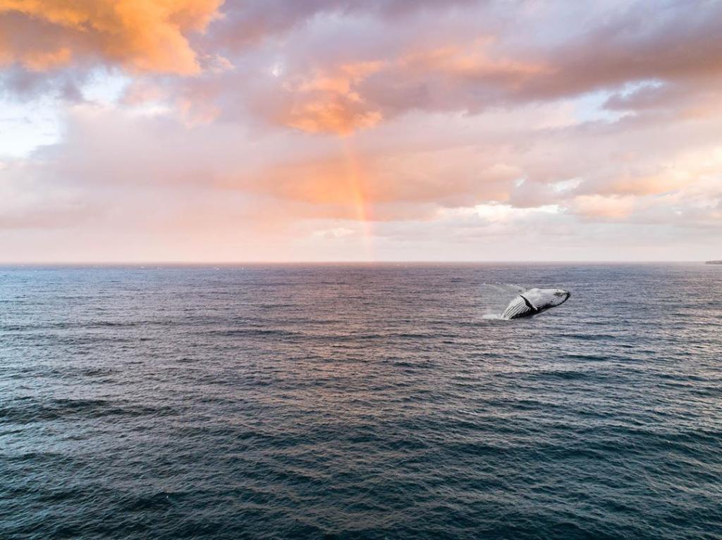 Bondi Beach #ilovesydney