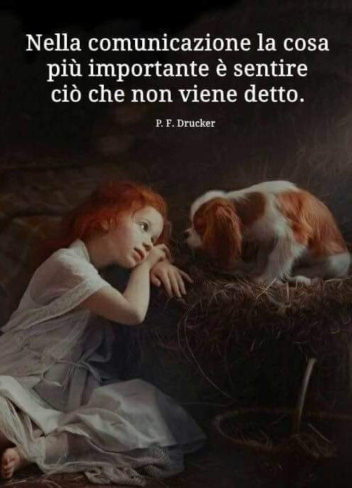 BUON GIOVEDÌ A TUTTI 🤗 🤗 🤗 🐕🐱🐈🌸🌞🌞🌞🐶❤️🏵️🌺🐾💞💐🌻🦁🌼