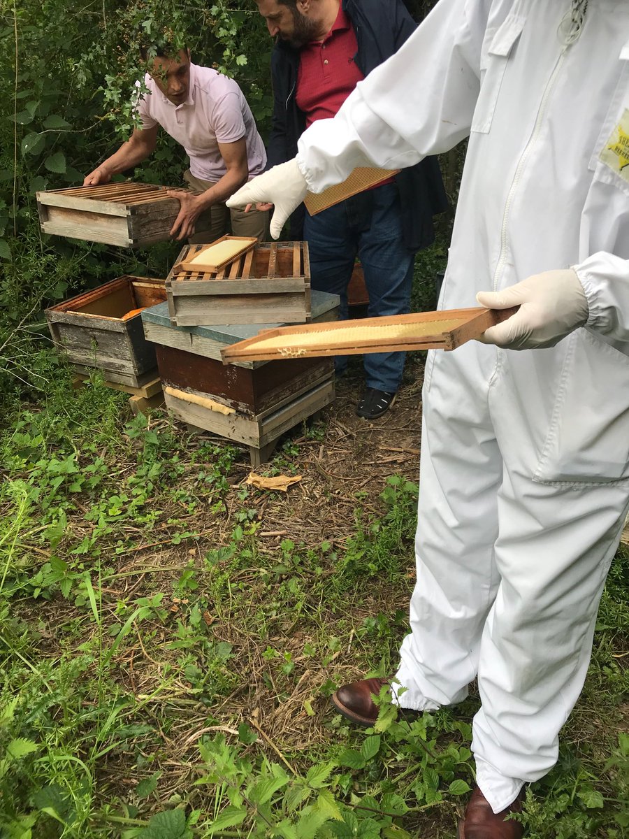 elvinsgeo's tweet photo. Great shot of the bee keepers from Syria 🇸🇾 #regugeeweek event in Ashbourne https://t.co/NwwxDrwV0B