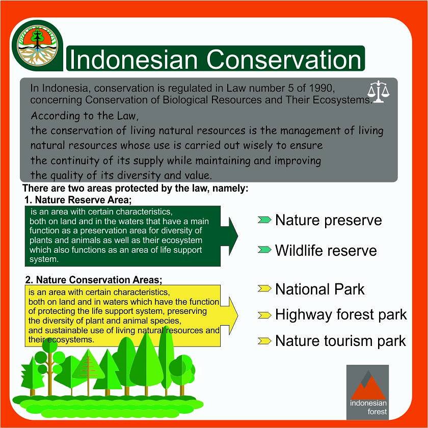 id_forest's tweet photo. #notknownevercare ; in #indonesia , #conservation is regulated in Law number 5 of 1990. Concern area in #naturepreserve #wildlifereserve #nationalpark #highwayforestpark #naturetourism #park https://t.co/2IkC5rKytt