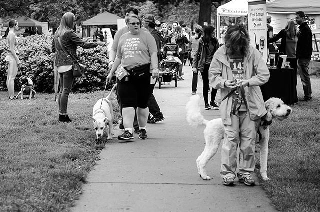 gunnrwilliams's tweet photo. Dogs in the park with their people... ..
.
#photography #photograph #picture #gunnarwilliamsphotography #gunnwilliams #dog #dogs #dogphotography #puppy #dogoftheday #dogsofinstagram #rescue #rescuedog #adopt #KansasCity #kc #lawrence #lfk #travel #explor… https://t.co/g2tCbYixSD https://t.co/f6O0cC7n6I
