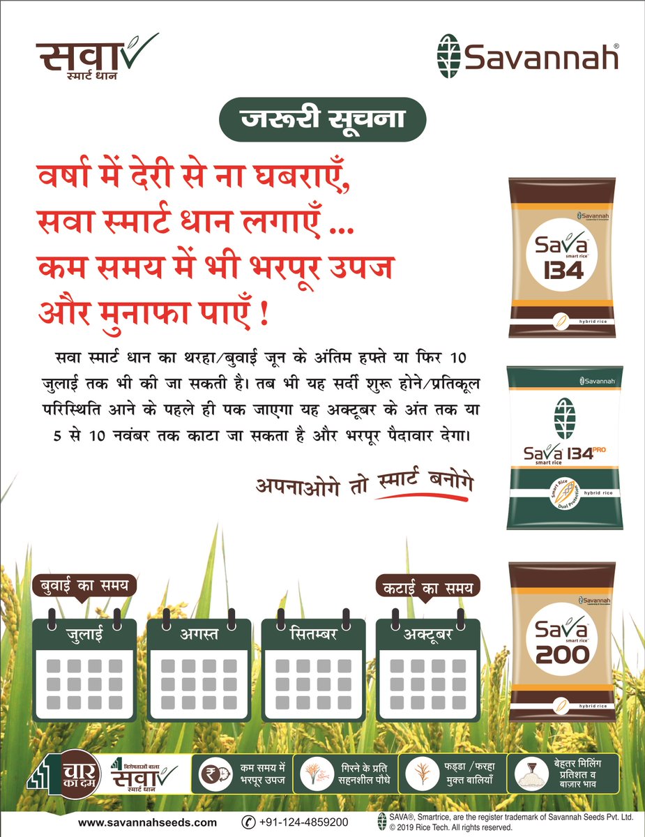 वर्षा में देरी से ना घबराएँ , 
सवा स्मार्ट धान लगाएँ ... 
कम समय में भी भरपूर उपज और मुनाफा पाएँ ! 

#smart #rice #paddy #seed