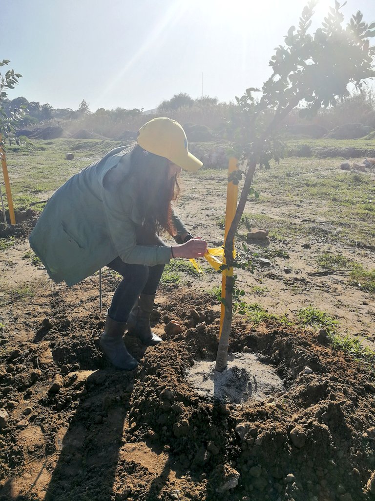nicolemarais12's tweet photo. Barenbrug Helping with Hands project! π©βπΎ π³ π€² #SaveTheTrees #Sustainability #GoGreenOrGoHome #HelpingWithHands @BarenbrugSA https://t.co/XKMDVPzzW8