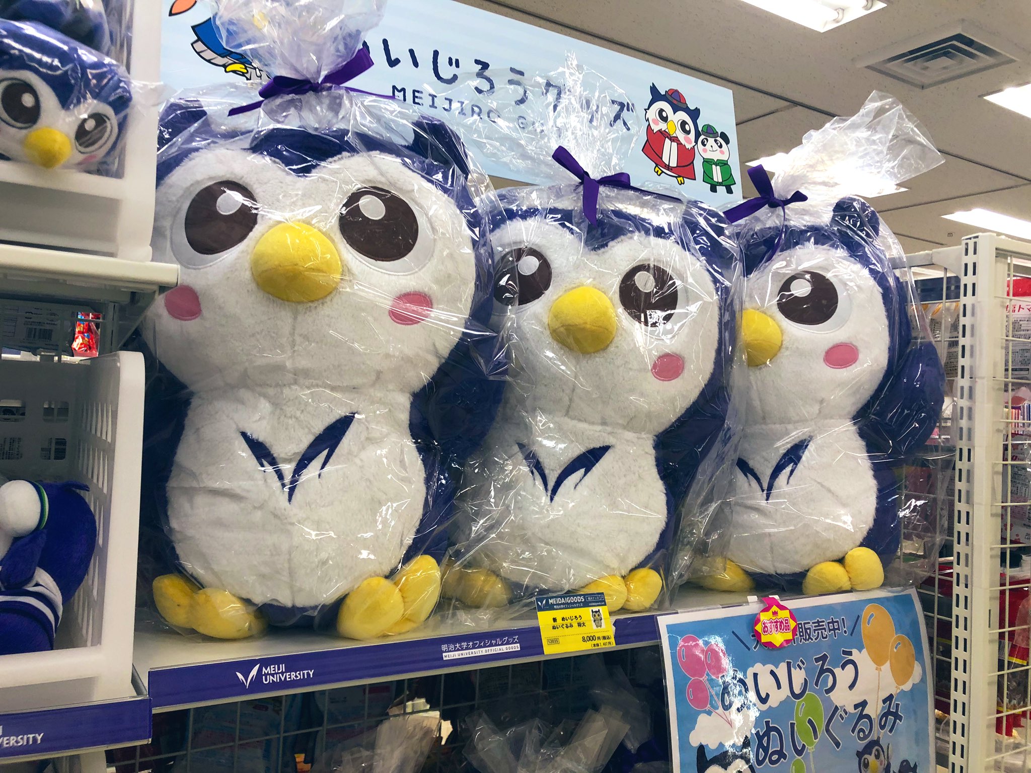 明大マート駿河台店 キャンパスサポート駿河台店 こんにちは 明大マート駿河台店です 当店では入り口にて 階段口 毎日 めいじろうが皆様をお出迎えしています 他にも可愛いめいじろうグッズたくさん用意しておりますので 是非ご覧下さい めいじろう