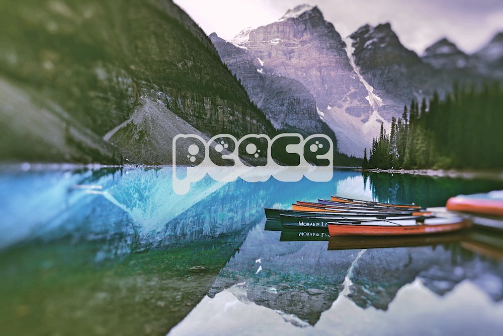 St_Bartz's tweet image. May you know the peace of God today.