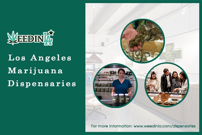 weedinla's tweet photo. Lack of sleep has a major impact on the physical as well as mental wellbeing of an individual. The studies prove that use of cannabis can viably cure various medical conditions such as insomnia: https://t.co/CtqK4k98TK

#weednews #marijuananews #insomnia #medicalmarijuana https://t.co/7ZMJxU0HWh