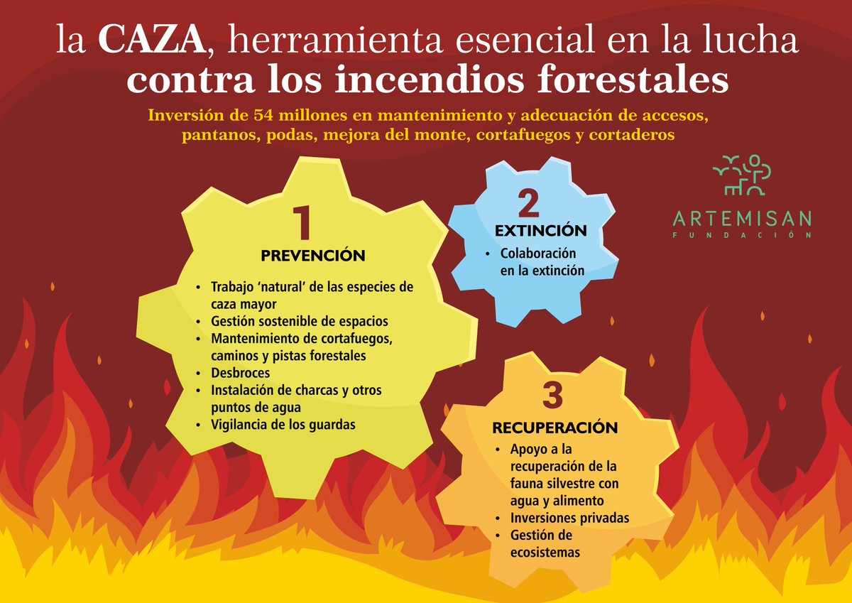 f_artemisan's tweet photo. 🔴🔥 Un informe revela el papel clave de los cazadores en la lucha contra los incendios forestales

#InformeArtemisan #Estotambiénescaza #síalacaza #cazayconservación #stopincendiosforestales

🔗 https://t.co/hStSeCOcG5 https://t.co/5rGq085KcO