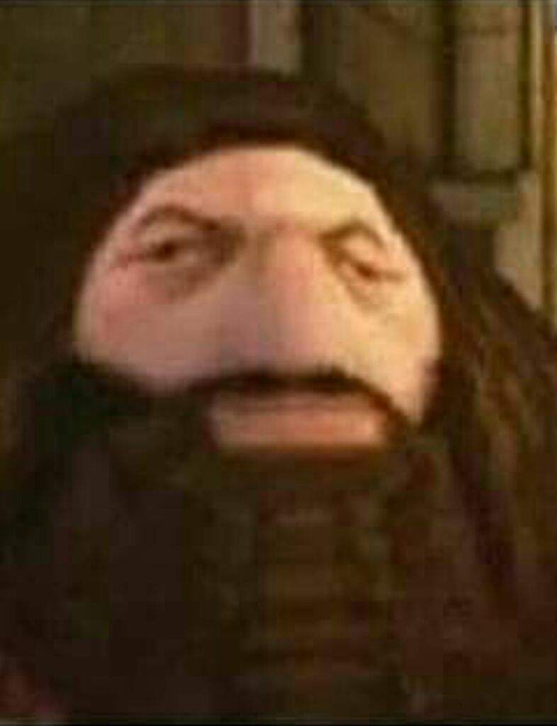 indiehubco's tweet photo. @CharleyyRachael Harry Potter &amp; the Philosopher's Stone on the PS1! It gave us the gift of PS1 Hagrid... https://t.co/z8XEjybrjx