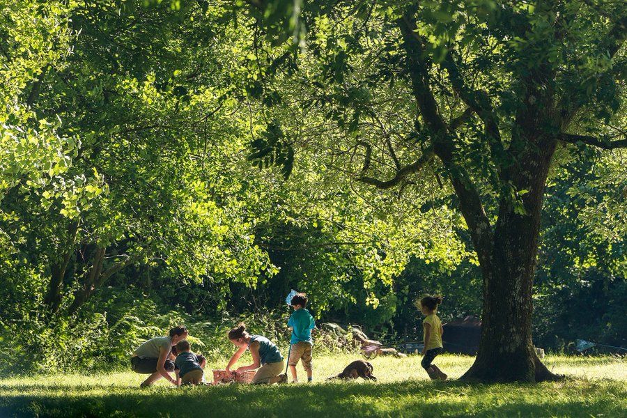 levymarket's tweet photo. We've got two lovely community stalls at @levymarket on Saturday. First up -  @WoodlandTrust, raising awareness for their brilliant work and signing up new members. Go say hello! https://t.co/sC9JsbQT4O https://t.co/VkpfBTh9F9