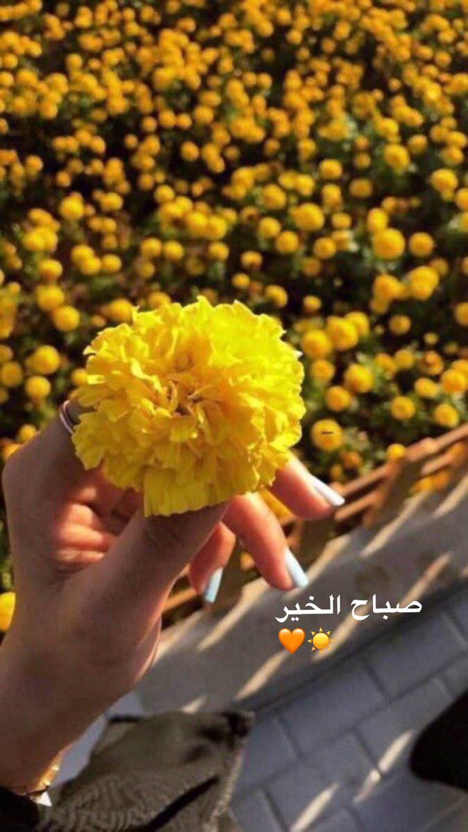 صباحكم🌸