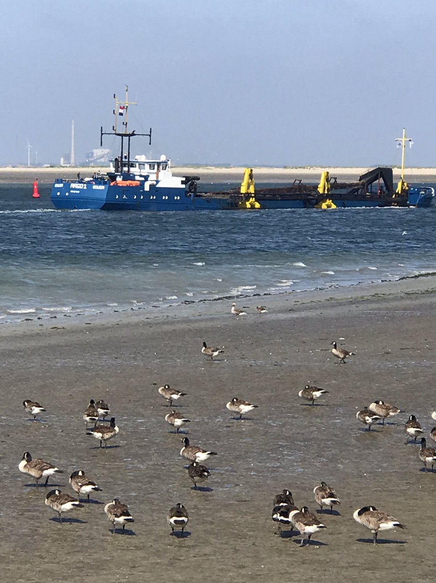 hon_joke's tweet photo. Bekijk Middagrit richting Breskens en even bij zus langsgeweest en langs de Westerschelde weer naar huis! π΄ββοΈπ΄ββοΈππ€ op Relive! #relive https://t.co/OHlxP8DfPs
Goeiemorgen π
Gisteren langs de #Westerschelde #Brandganzen #Lepelaar #Eb #fietsen #Inlaag #NummerEen https://t.co/Qas7dAaeGu