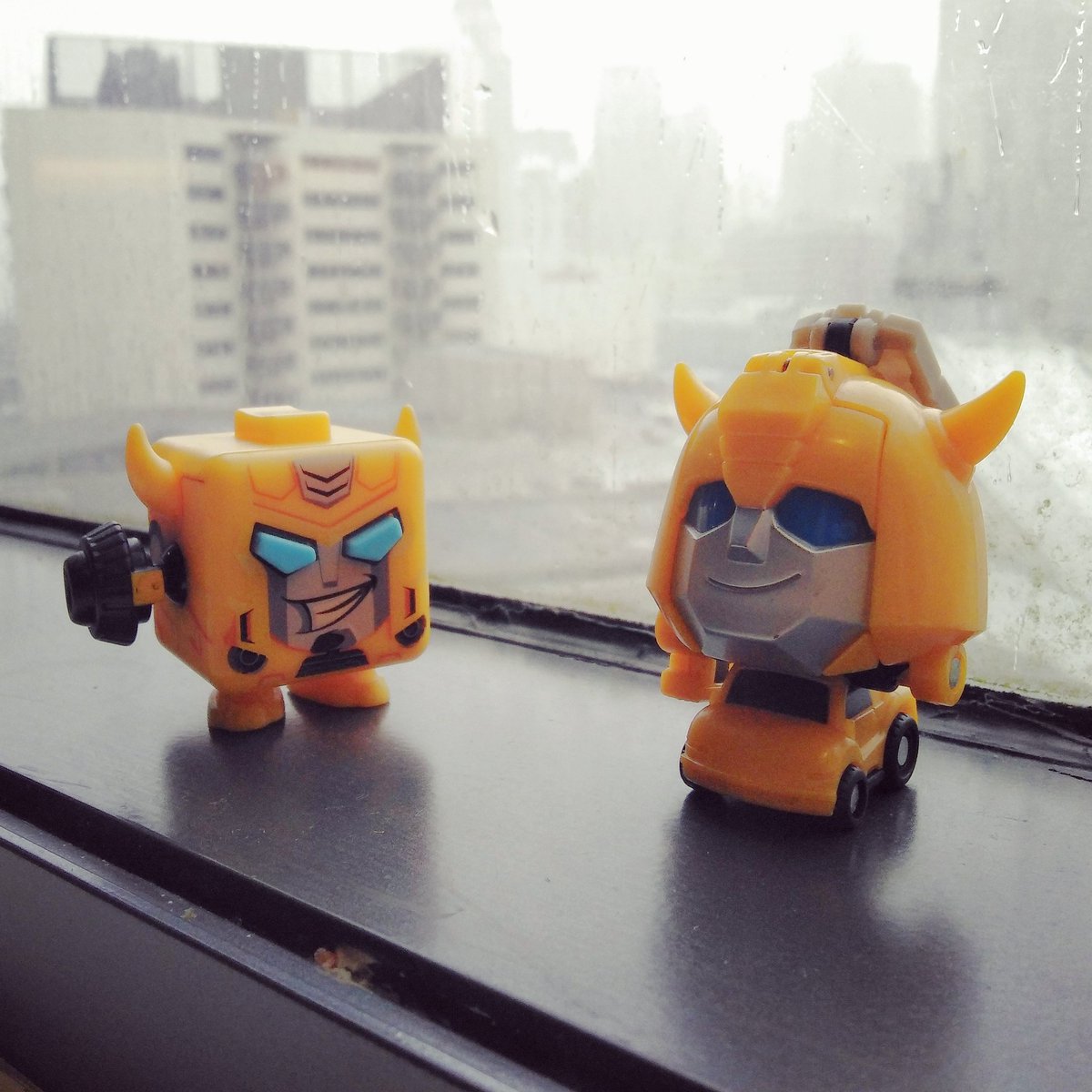 SilverHakai's tweet photo. Since I'm not allowed to take photos of my workstation, here's a photo of a couple of bees by the window instead.
#Transformers #Autobot #Bumblebee #TFGenerations #AltModes #FidgetIts #Hasbro #ToyPhotography #MyBeeSwarm #Mine #Toys #BumblebeeToyCollector #RainyDay #WorkWorkWork https://t.co/oqkO1aFbEx