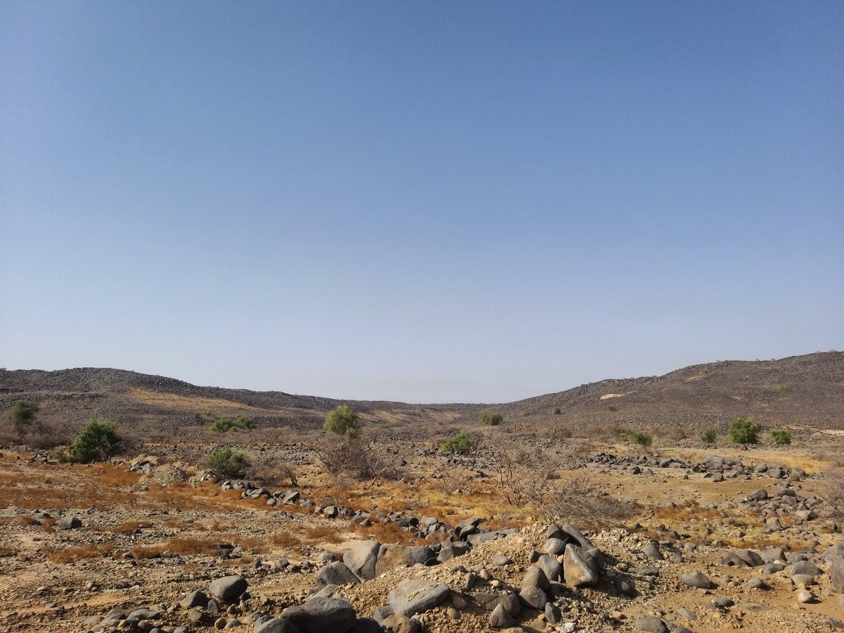 محمد بن عبدالله الشاوي tweet media