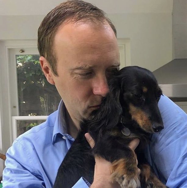 MattHancock's tweet image. With Hercules this morning. 

So pleased my friend @michaelgove is introducing the Animal Welfare Sentencing Bill, bringing in 5 year jail sentencing for those who abuse animals. 

Who harms a beautiful creature like him?
#HerculesTheDog