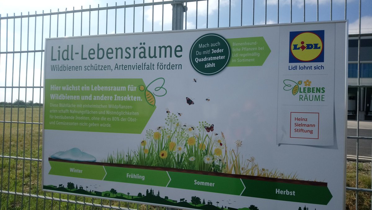 Schiwi M tweet media