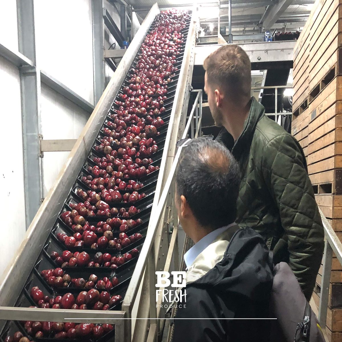 We regularly visit our suppliers. This time we were visiting one of the largest growers and processors of beetroot. We have seen the entire process from arrival to packaging. These men know how to keep the quality standard high from cultivation to processing.

#beetroot #partners