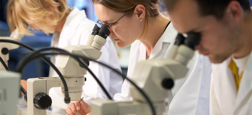 UniversitiesUK's tweet photo. ❗️ The UK must remain a world leader in research and innovation
UUK and partners in education, business, research and the charity sector call on the next PM to put R&D at the heart of plans for UK prosperity, post-Brexit
👉 More https://t.co/DCXhA4EmDF
#SupportUKRandD https://t.co/Wu6PnZlpnh