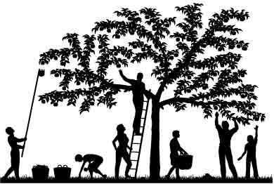 Hiatus over! Amazing how time out and family constellations turns up the love vibe. Sending it out #familyconstellations #timetobeme #bookhubpublish