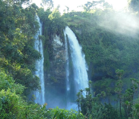 Capture some of the most amazing sights in the game parks of Uganda with vahel safaris limited