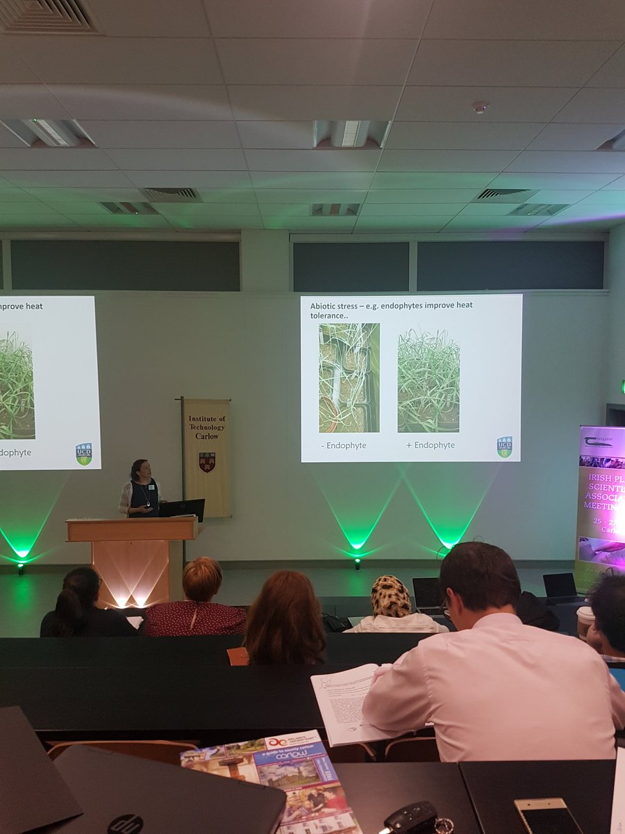 Adnanriaz7's tweet photo. Prof Fiona @doohancropslab discussing how endophytes provide stress tolerance #IPSAM2019 https://t.co/5yy4bLSsi0